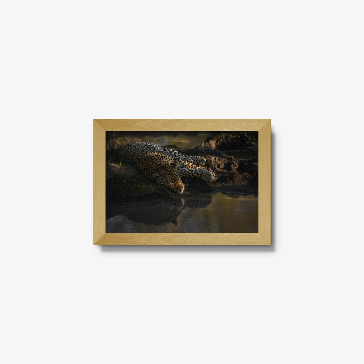 Last light at the waterhole — mini / natural / full