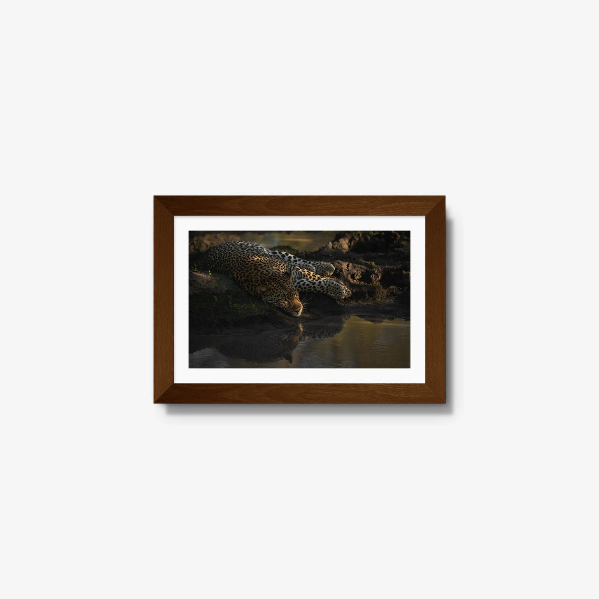 Last light at the waterhole — mini / brown / mat