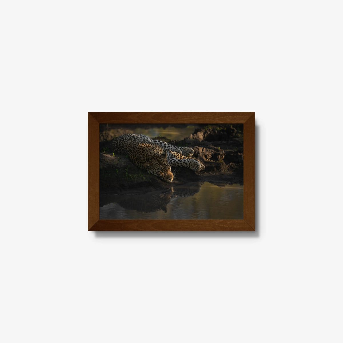 Last light at the waterhole — mini / brown / full