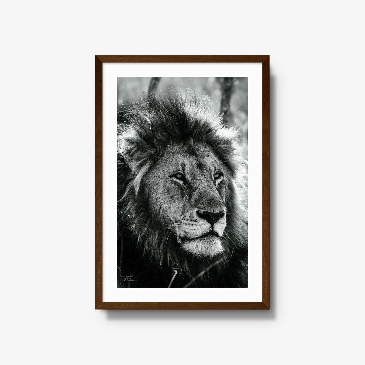 Into the Light — large / brown / mat