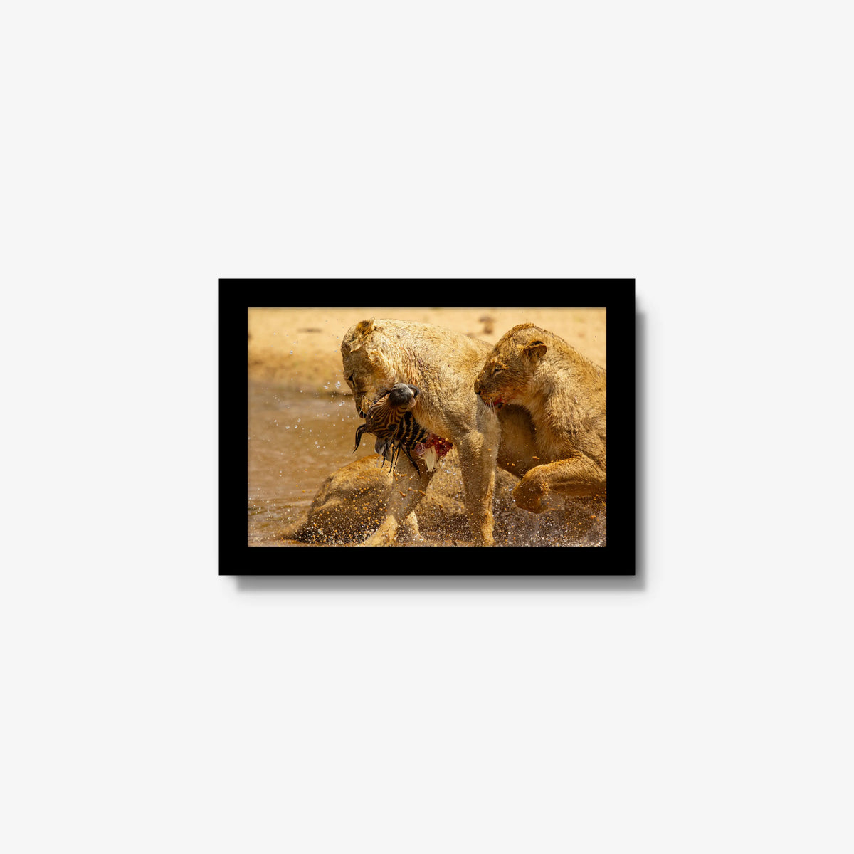 The Weight of Survival — mini / black / full