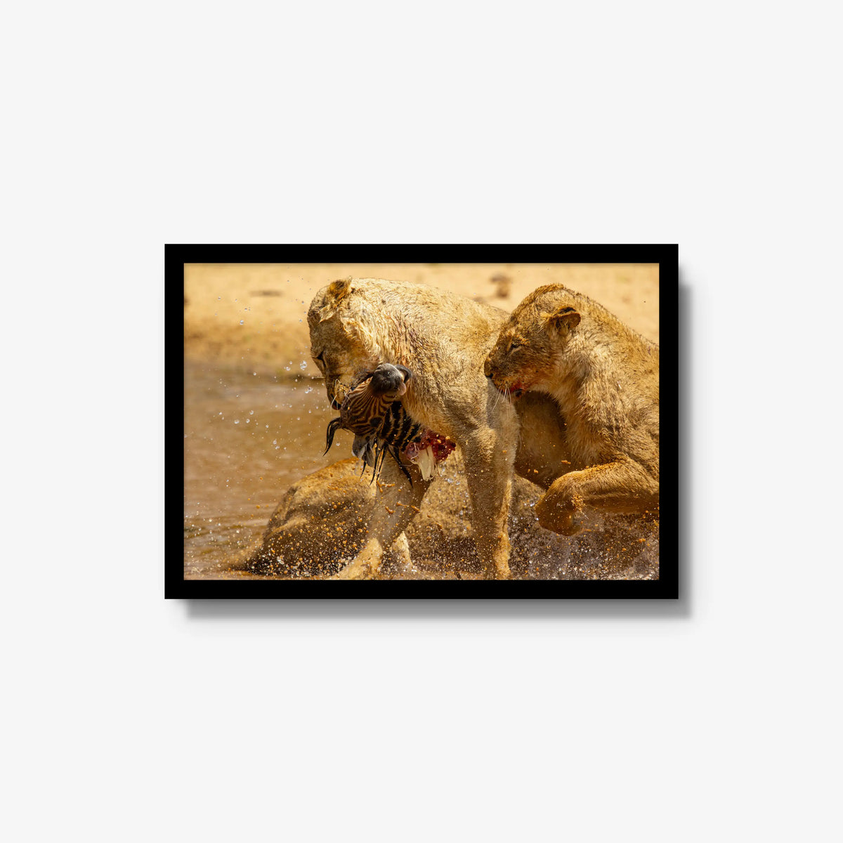 The Weight of Survival — medium / black / full