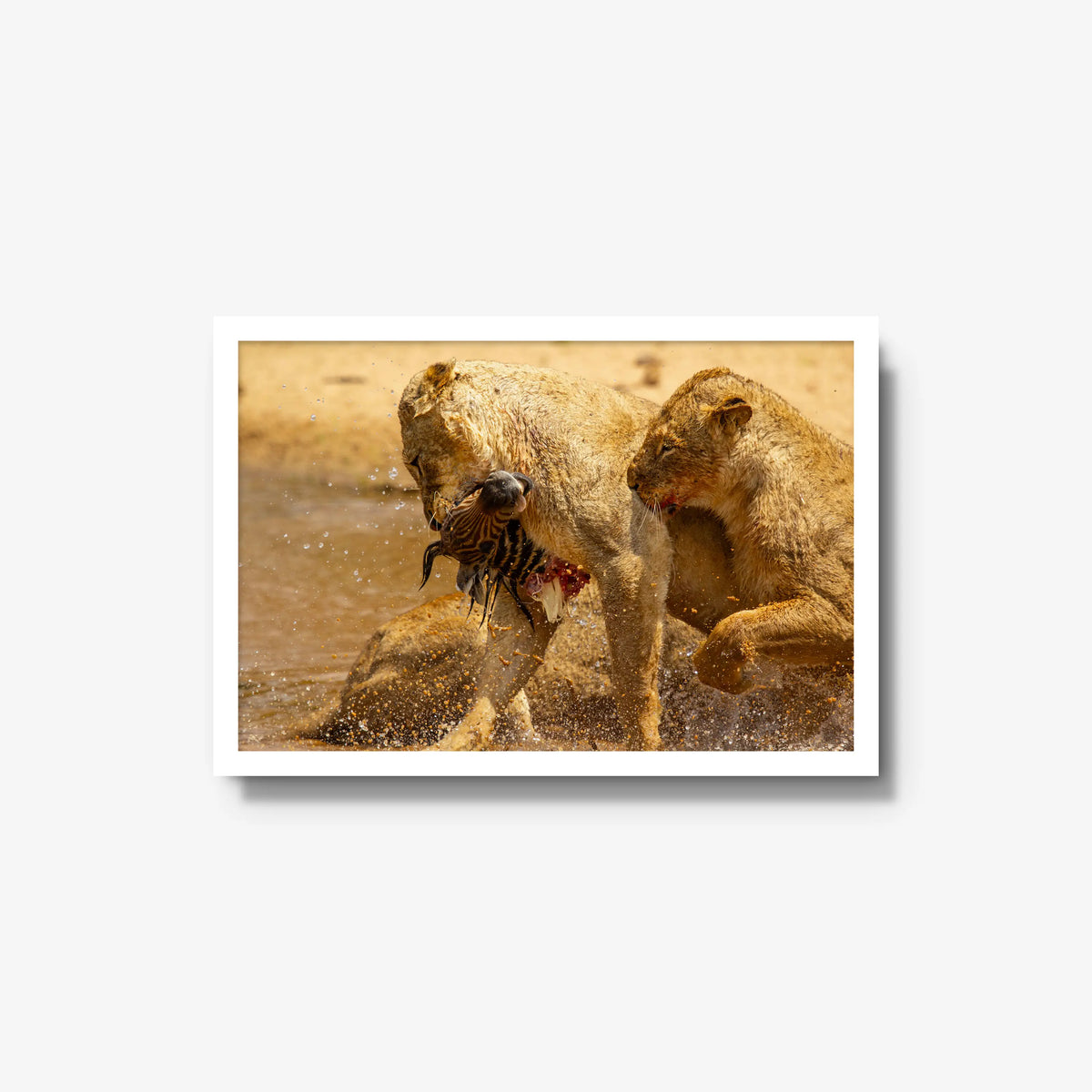 The Weight of Survival — medium / white / full