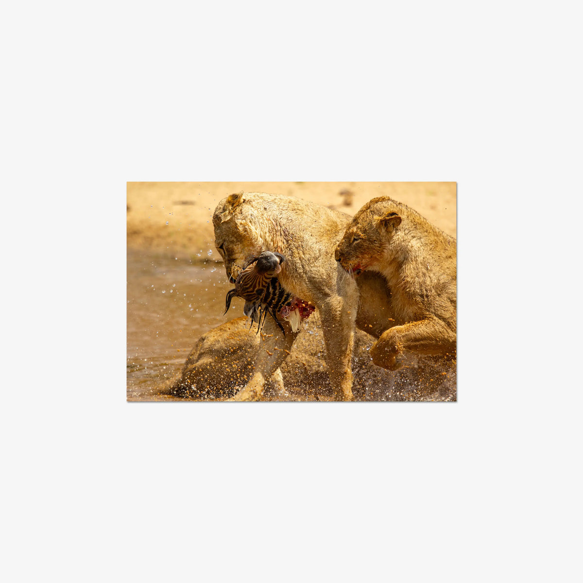 The Weight of Survival — medium / print / n/a
