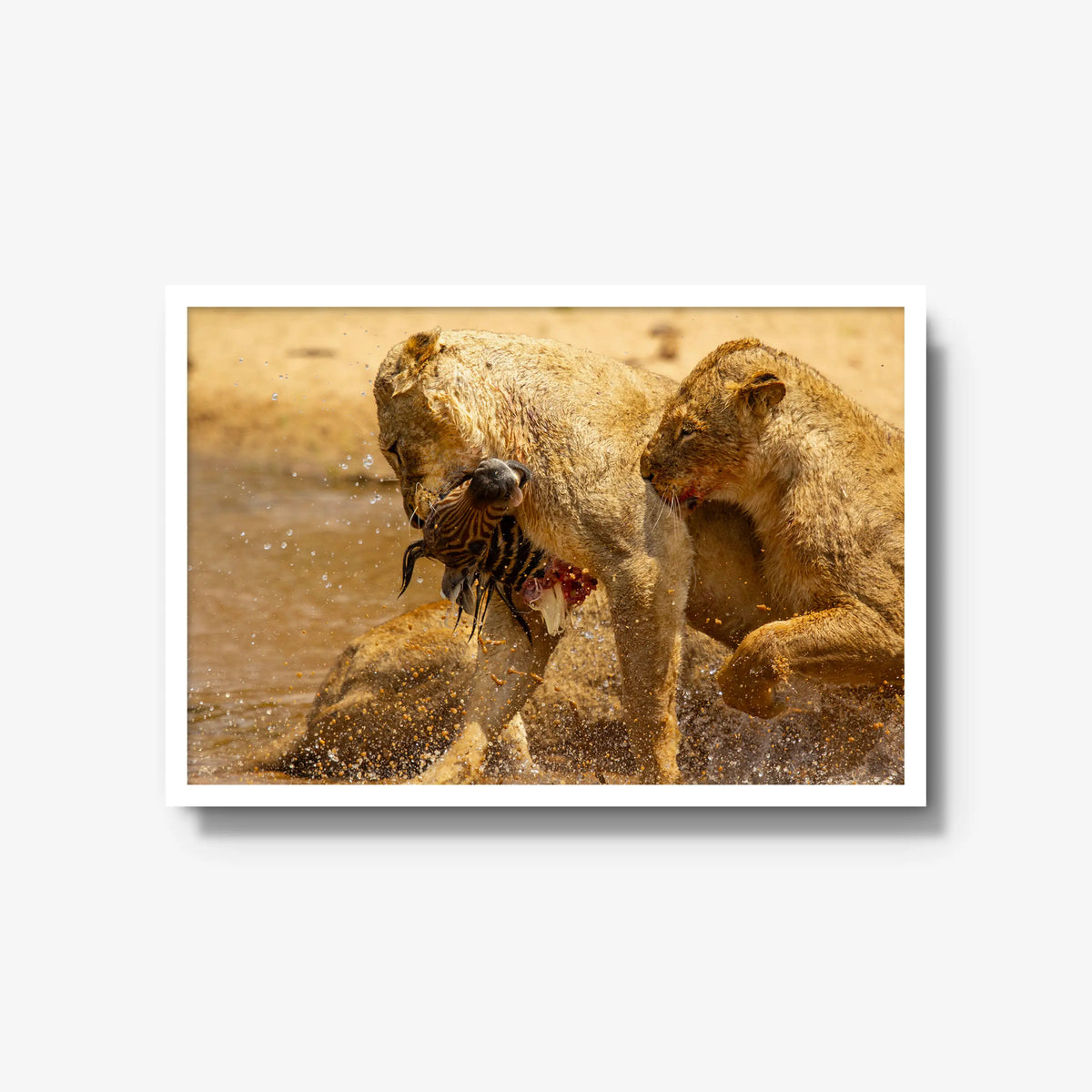 The Weight of Survival — large / white / full