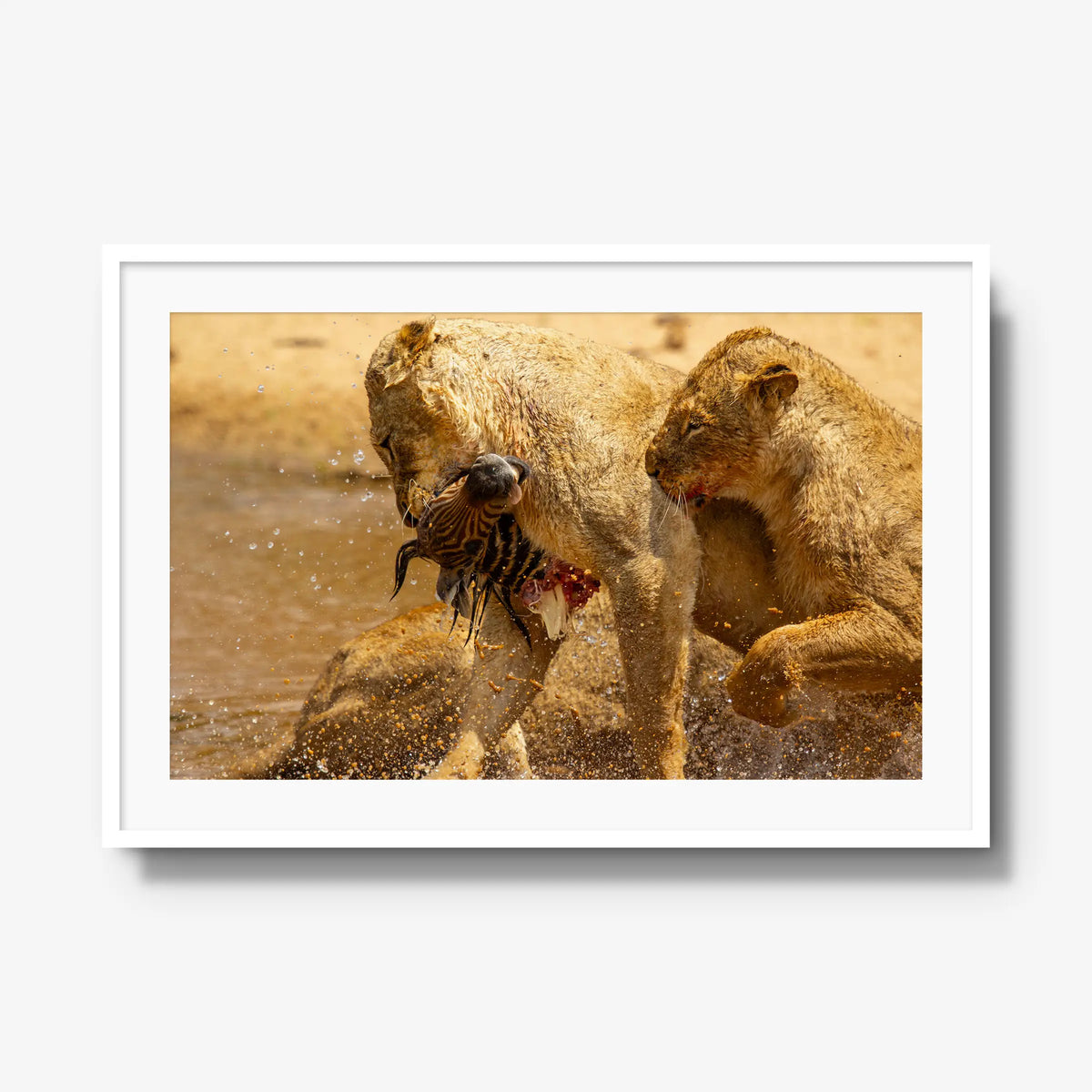The Weight of Survival — gallery / white / mat