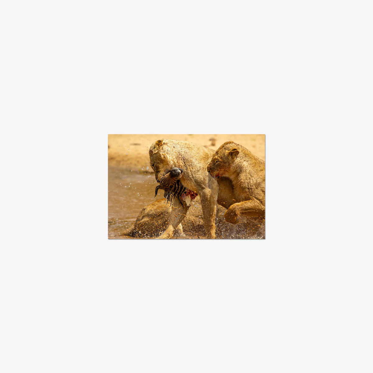 The Weight of Survival — mini / print / n/a
