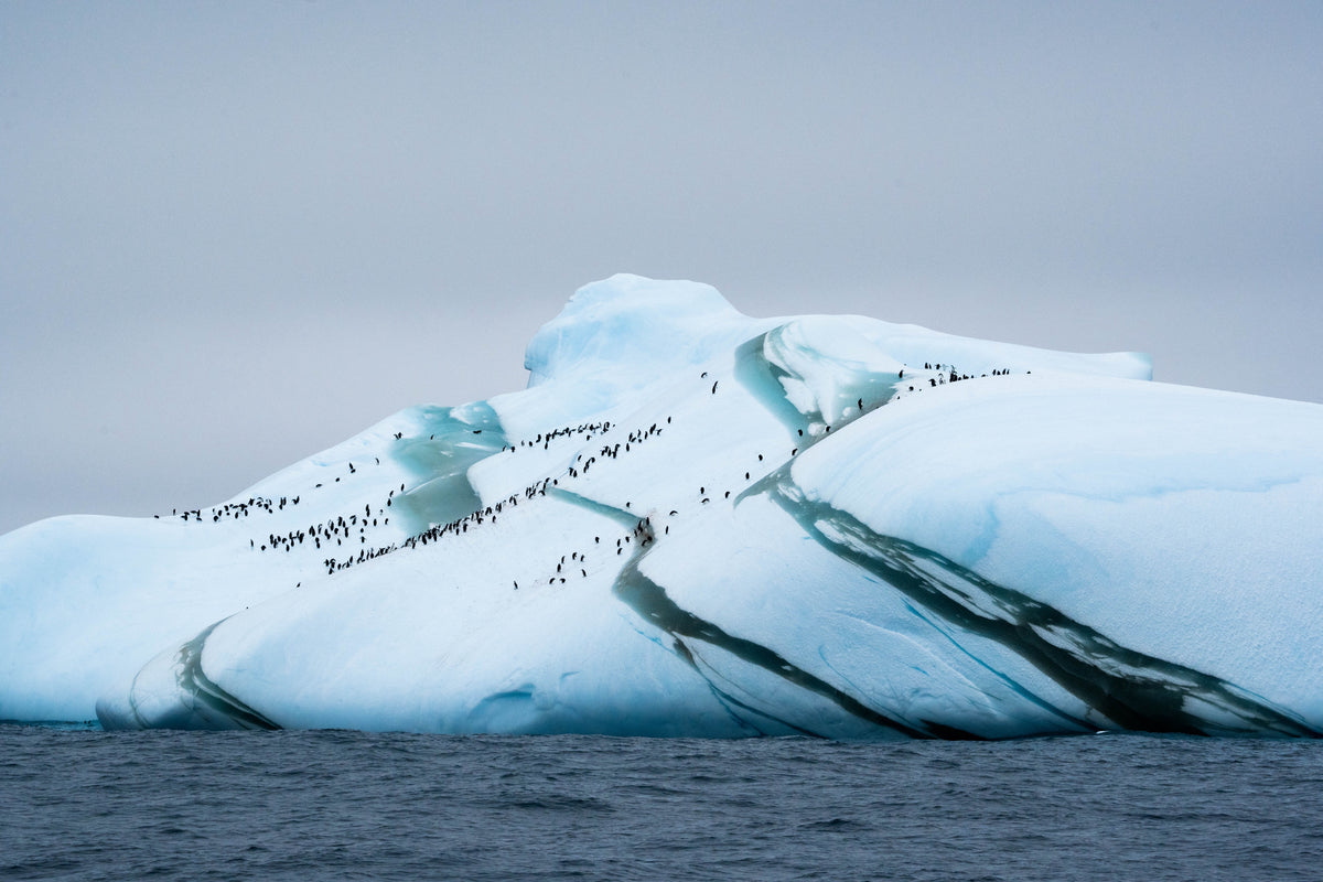 Marble Iceberg — scroll pan