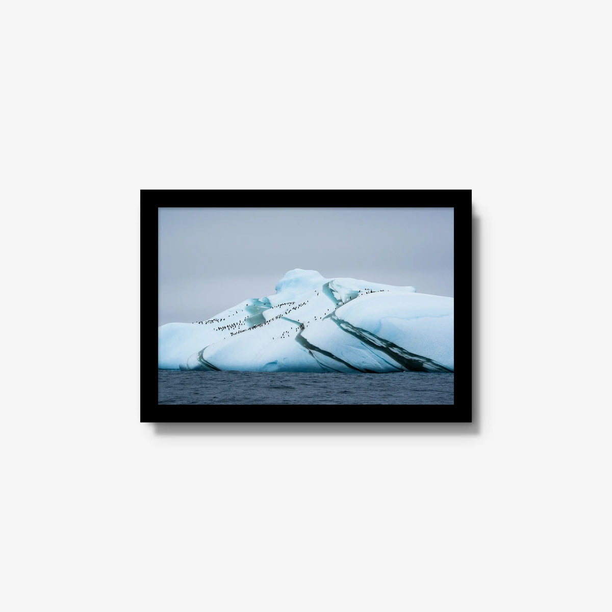 Marble Iceberg — small / black / full
