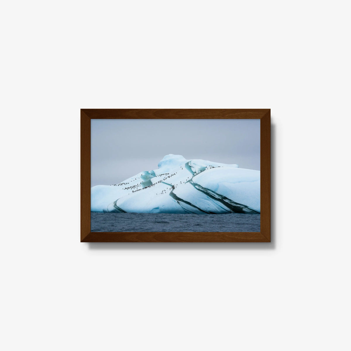 Marble Iceberg — small / brown / full