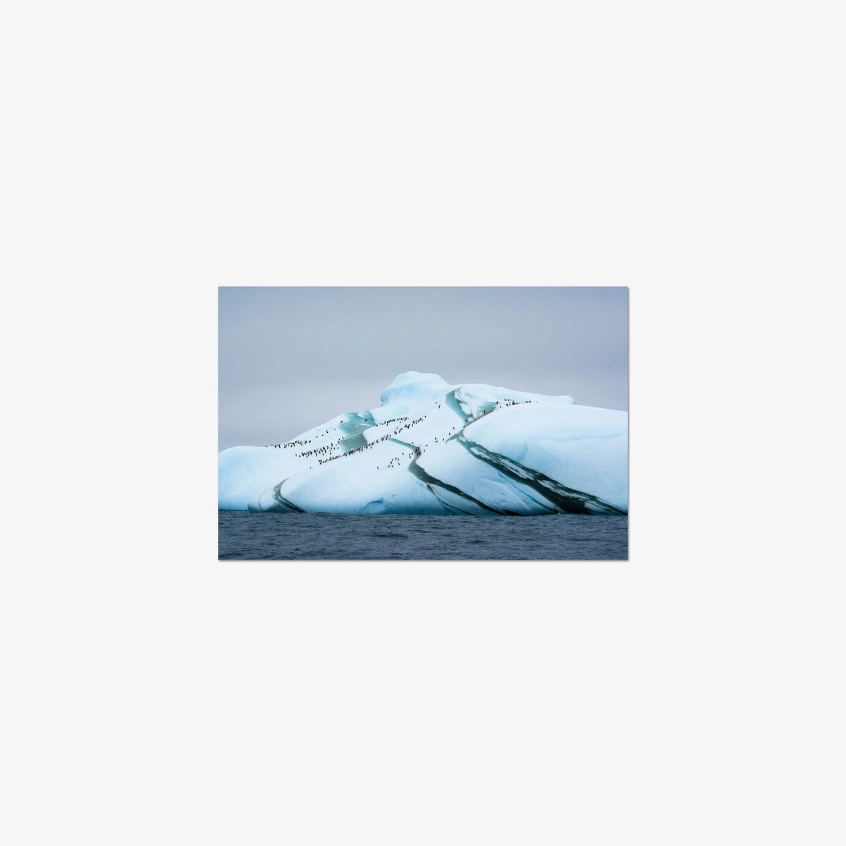 Marble Iceberg — small / print / n/a