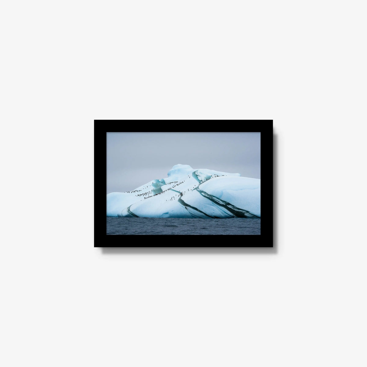 Marble Iceberg — mini / black / full