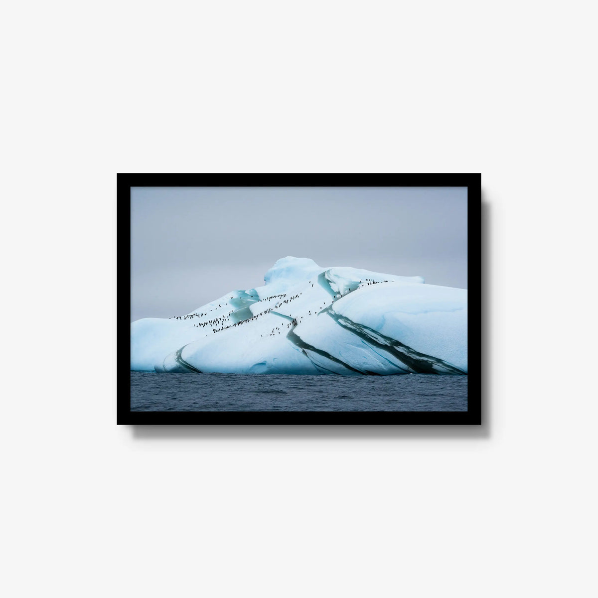Marble Iceberg — medium / black / full