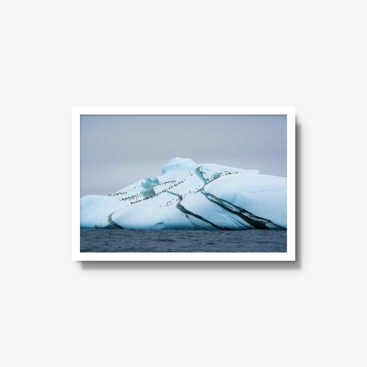 Marble Iceberg — medium / white / full