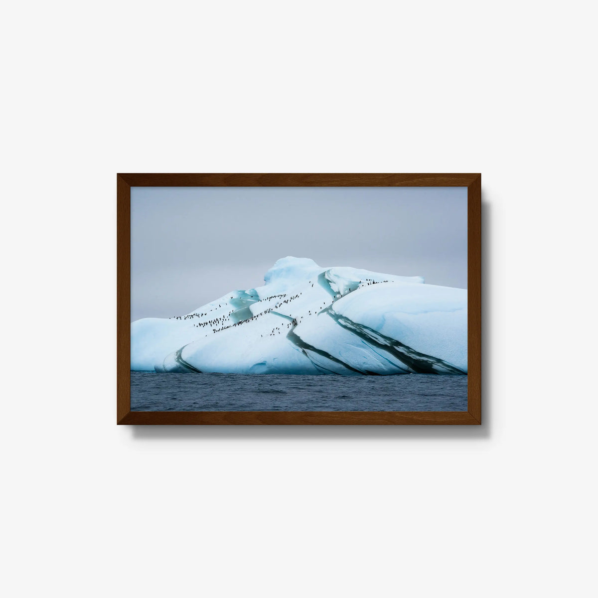 Marble Iceberg — medium / brown / full