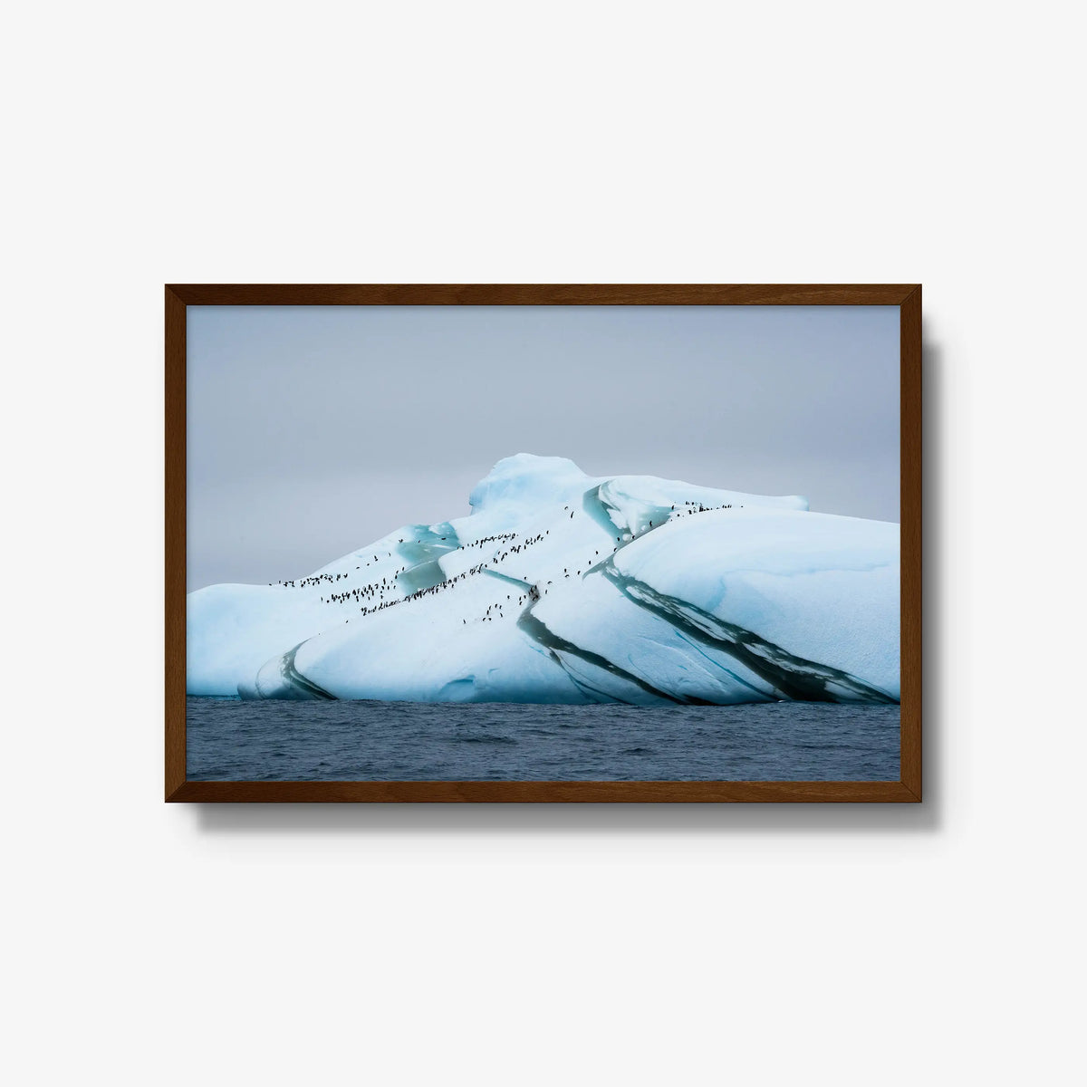 Marble Iceberg — large / brown / full