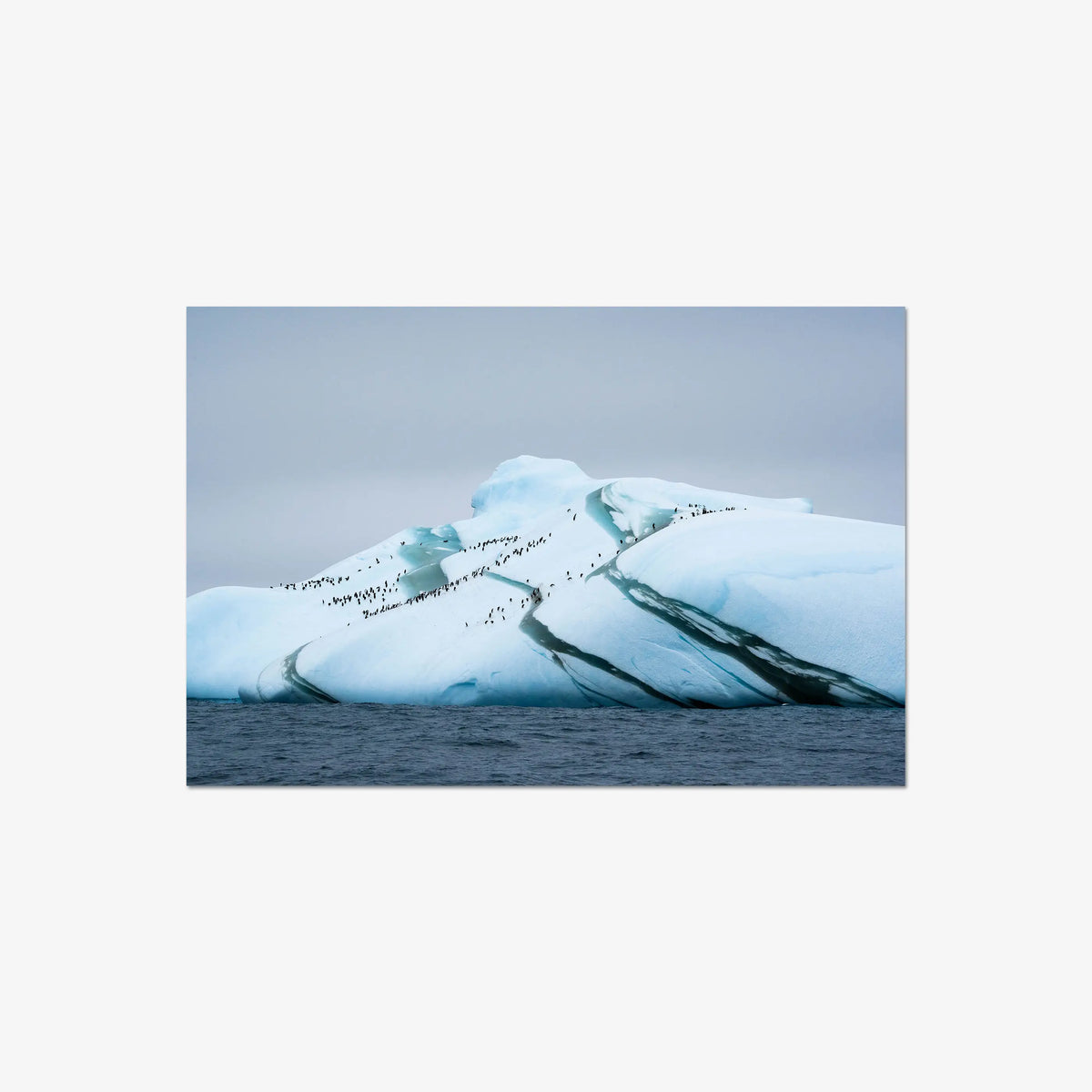 Marble Iceberg — large / print / n/a