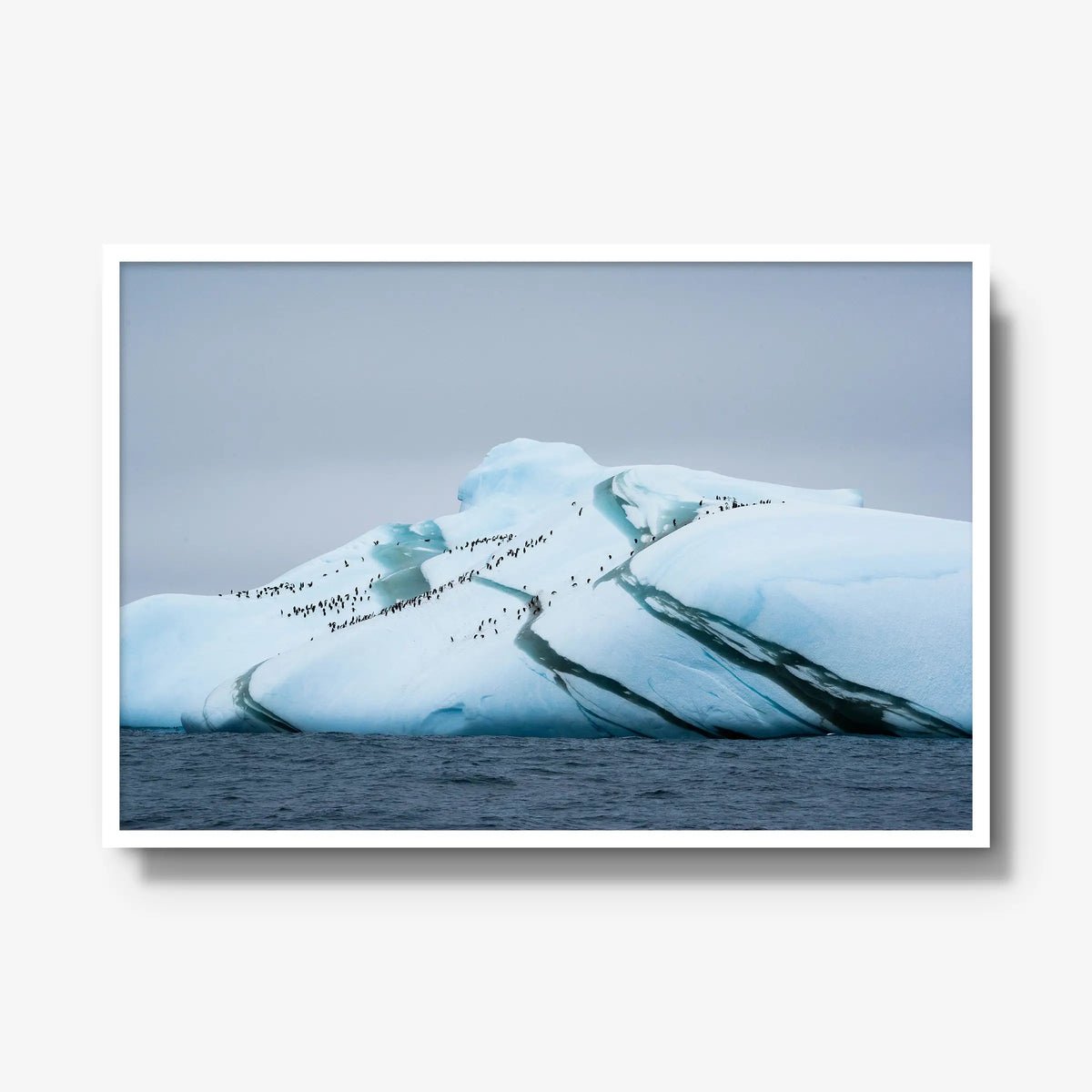 Marble Iceberg — gallery / white / full