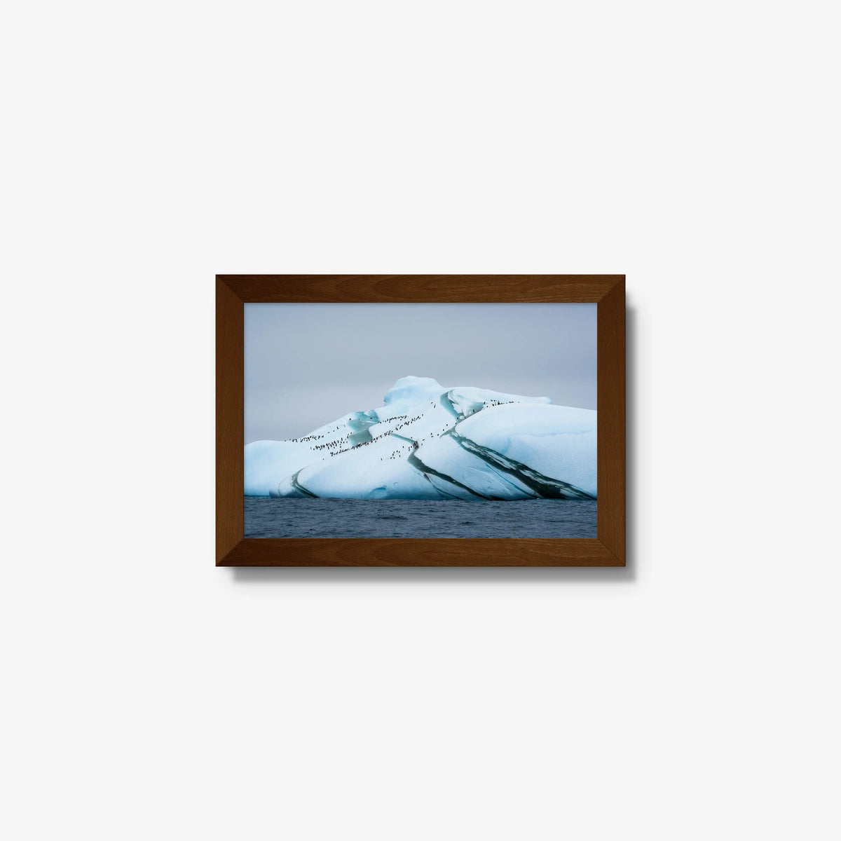 Marble Iceberg — mini / brown / full