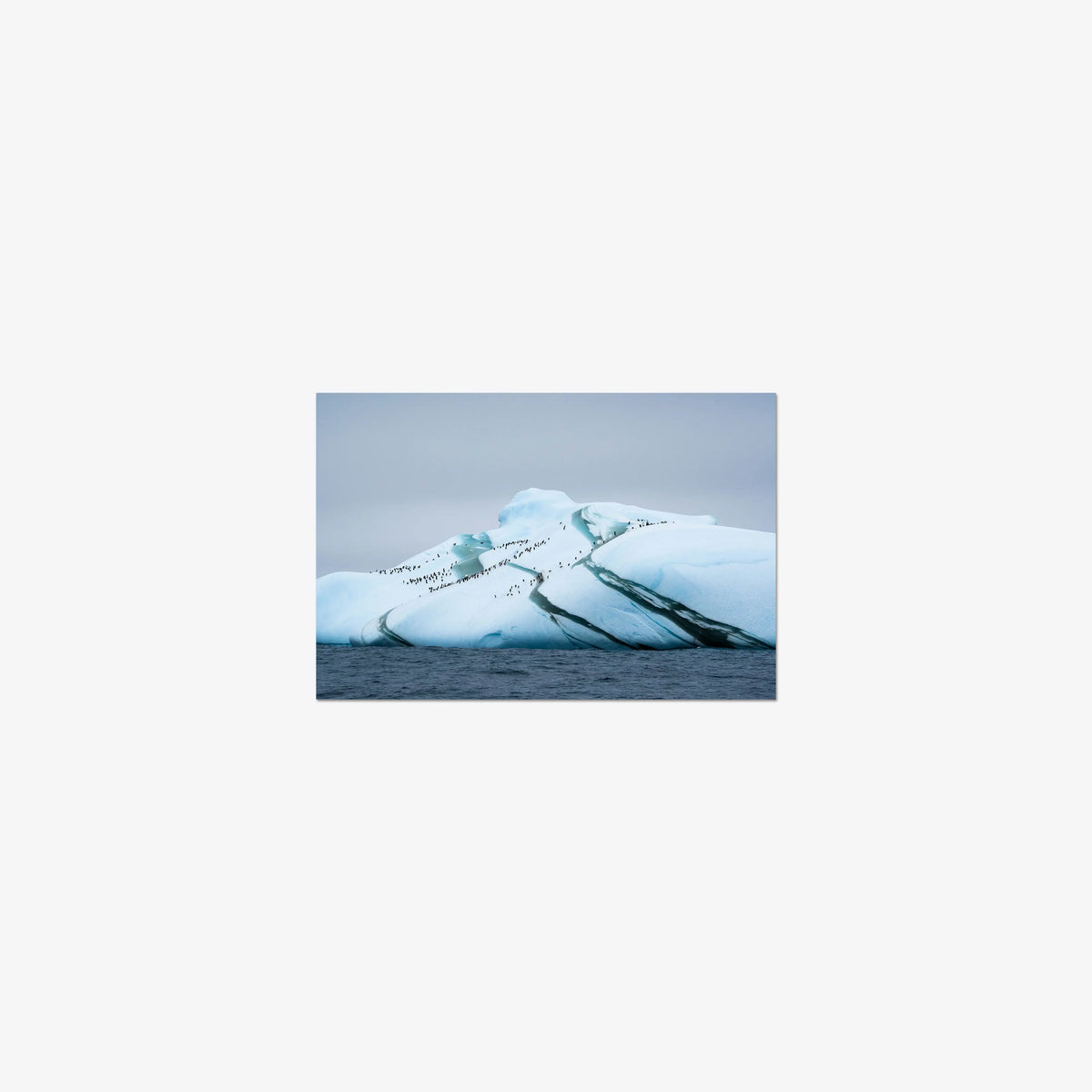 Marble Iceberg — mini / print / n/a