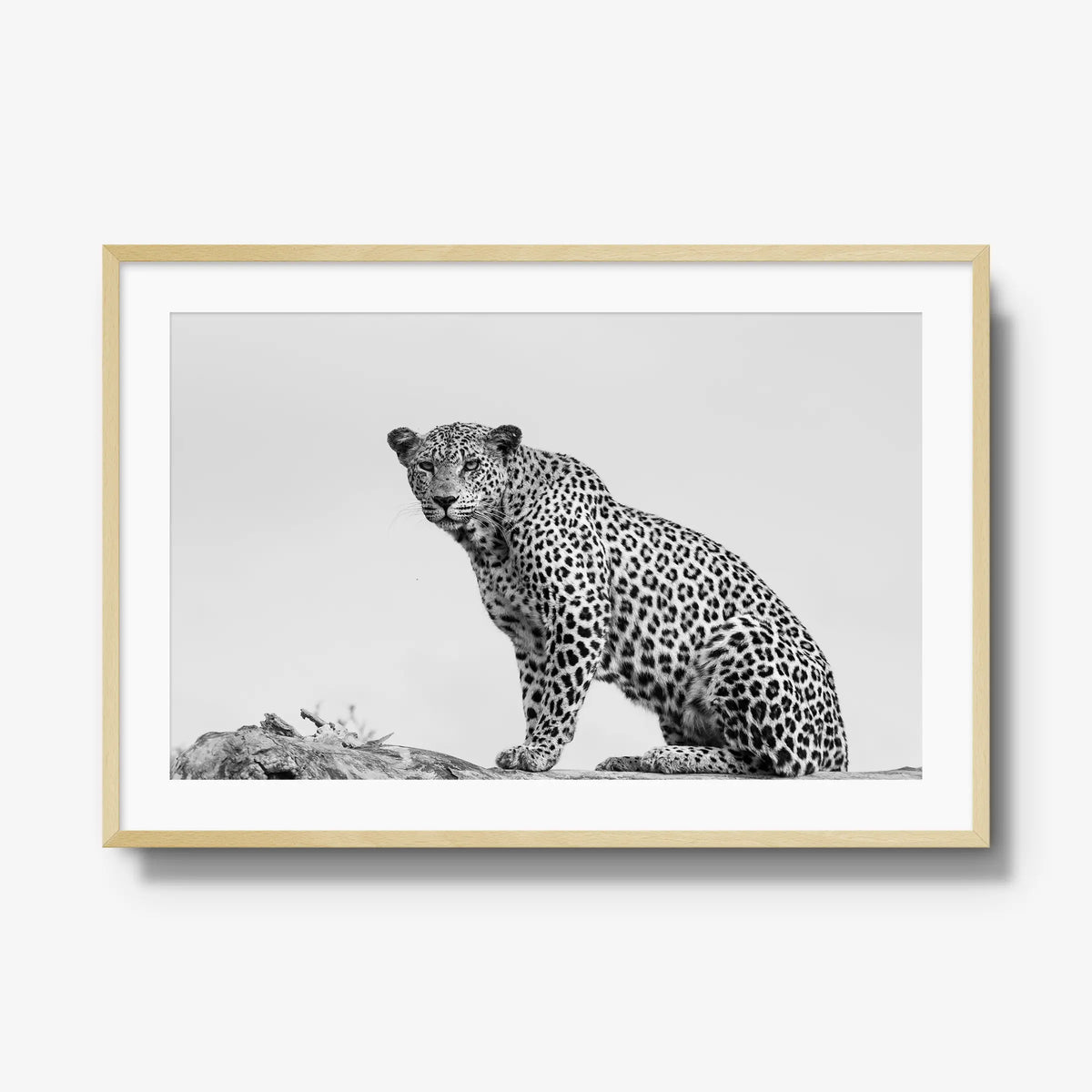 Mashaba Female — gallery / natural / mat