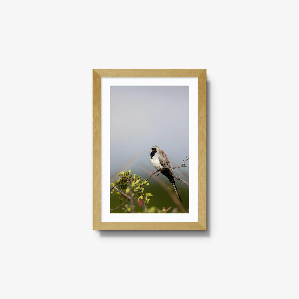 Namaqua — small / natural / mat