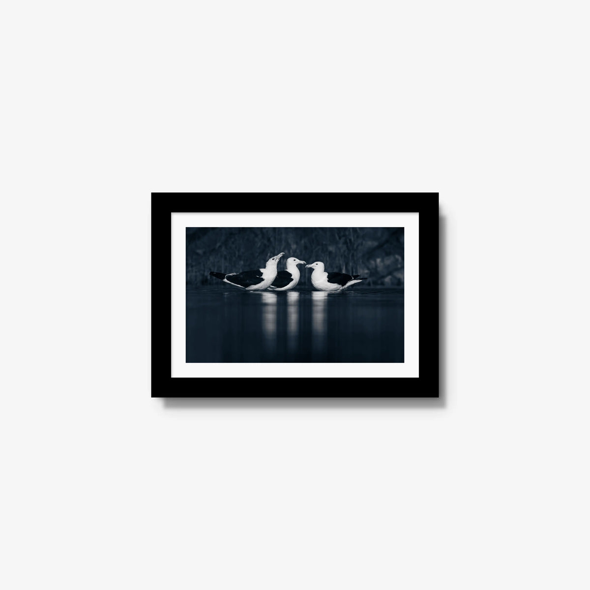 Nightwater trio — mini / black / mat