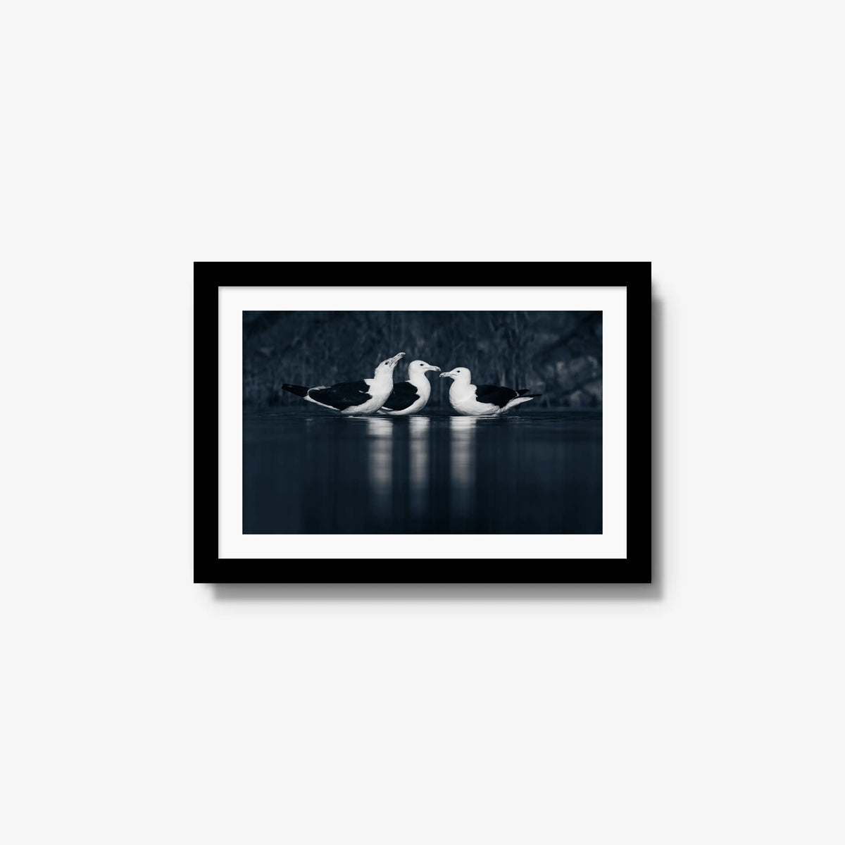 Nightwater trio — small / black / mat