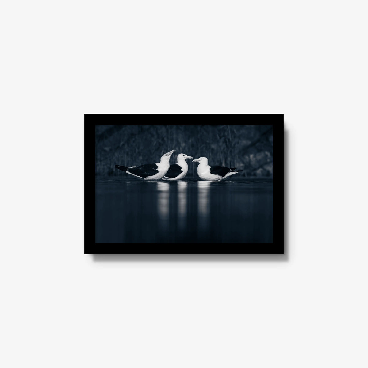 Nightwater trio — small / black / full