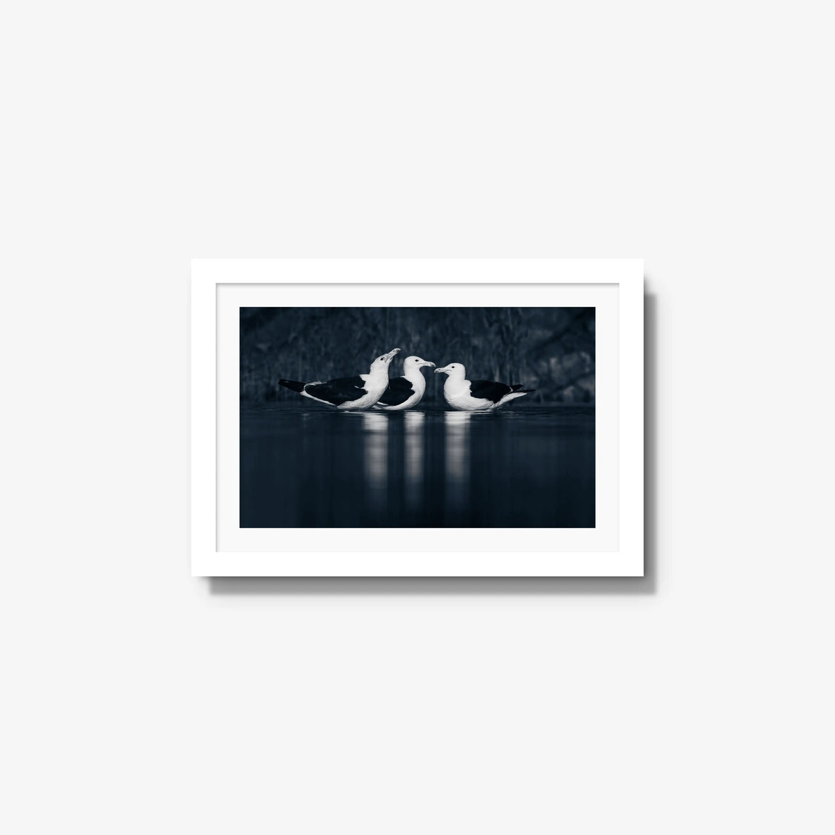 Nightwater trio — small / white / mat