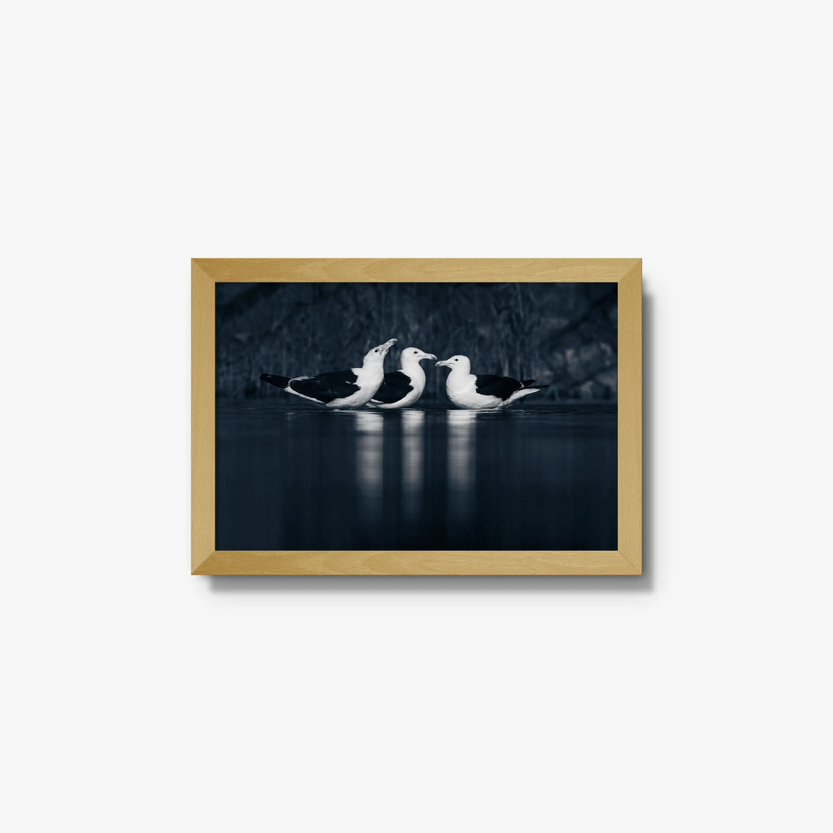 Nightwater trio — small / natural / full