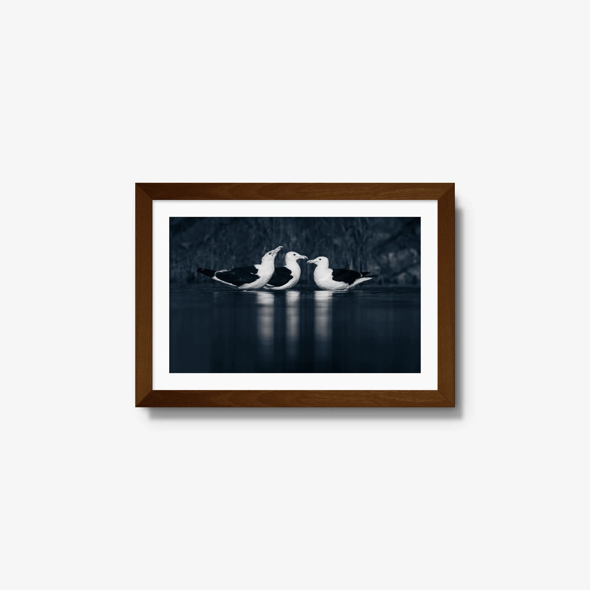 Nightwater trio — small / brown / mat