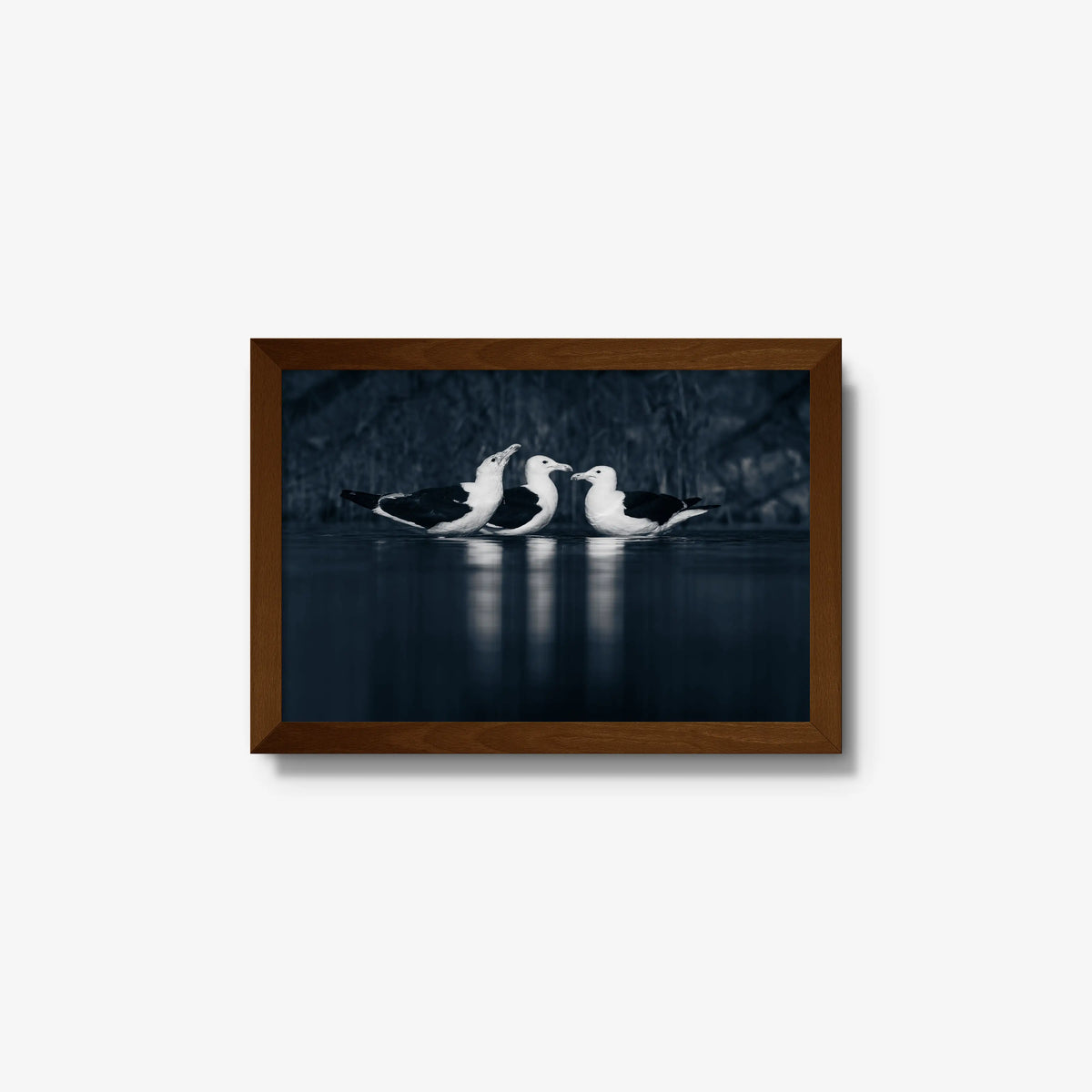 Nightwater trio — small / brown / full