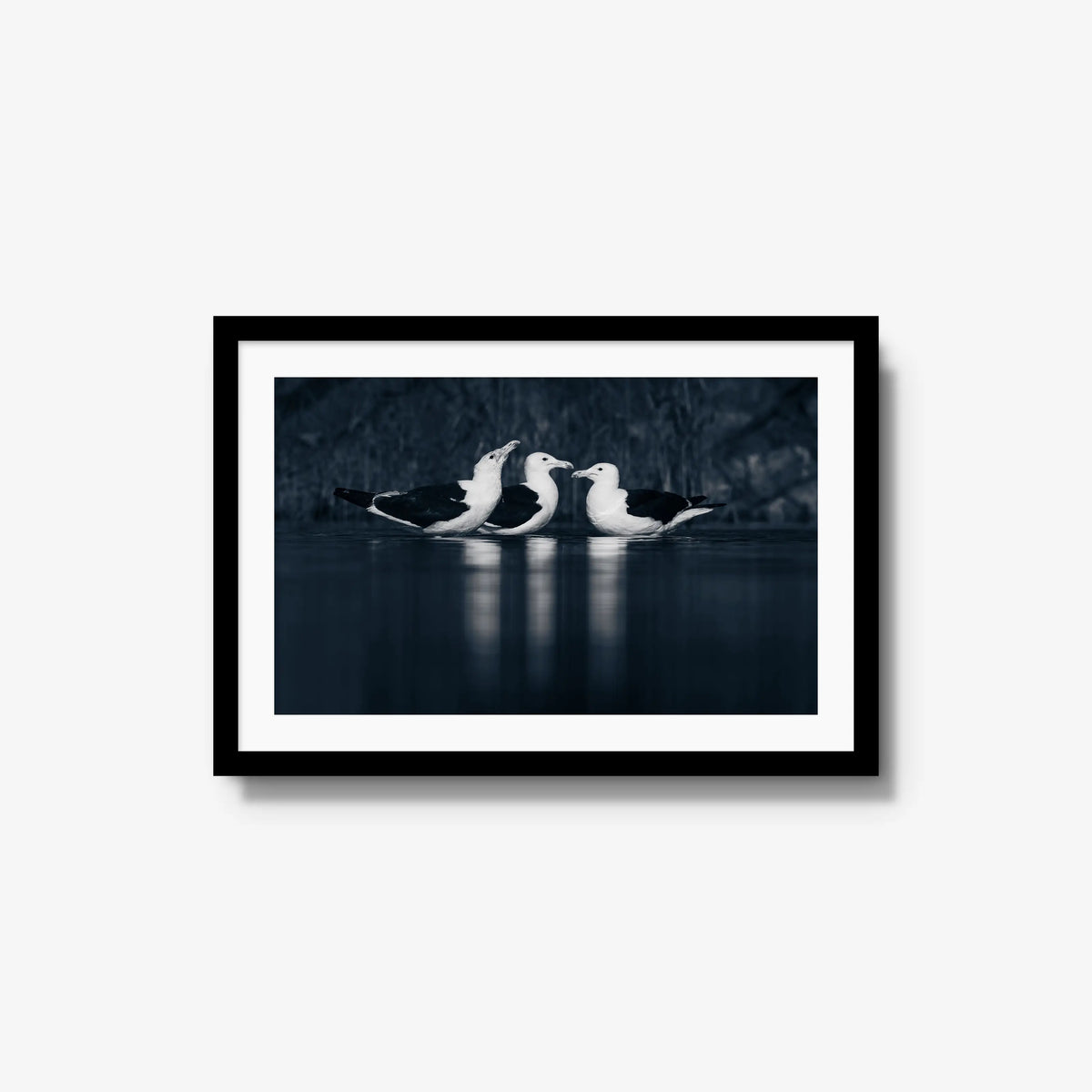 Nightwater trio — medium / black / mat