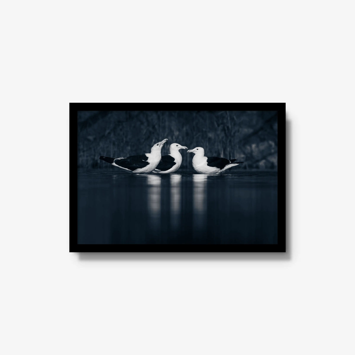 Nightwater trio — medium / black / full