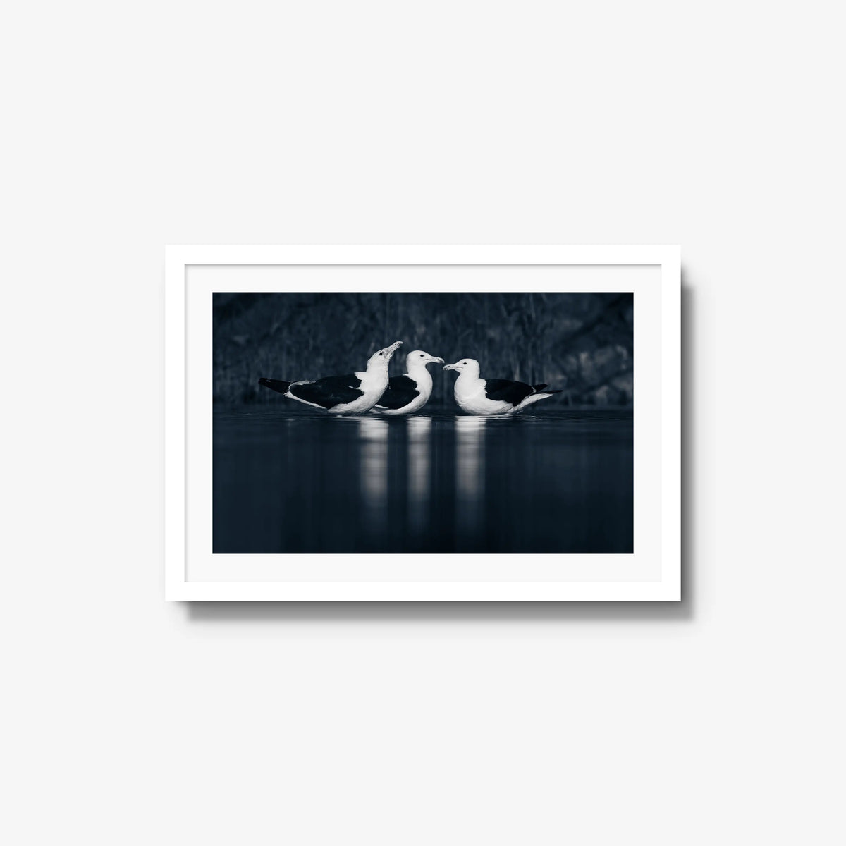 Nightwater trio — medium / white / mat