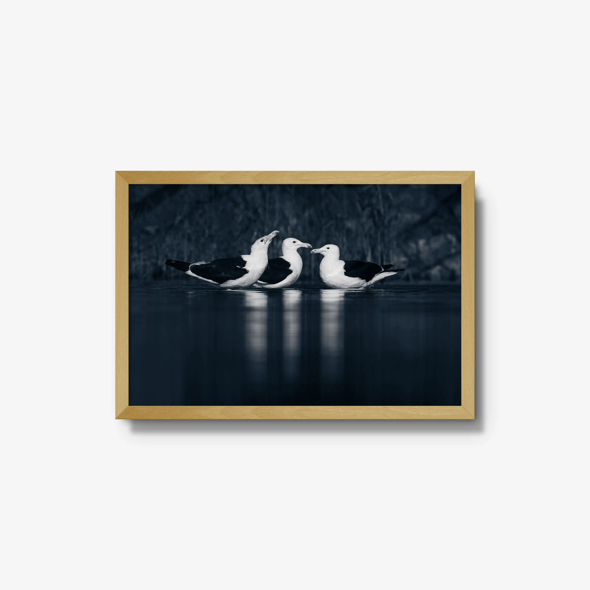 Nightwater trio — medium / natural / full