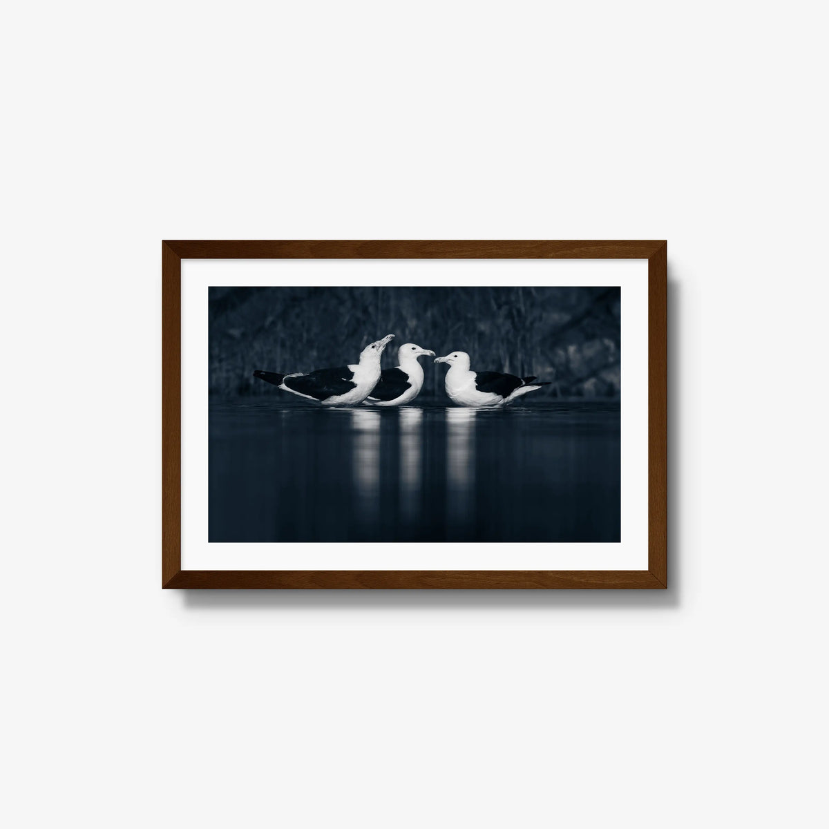 Nightwater trio — medium / brown / mat