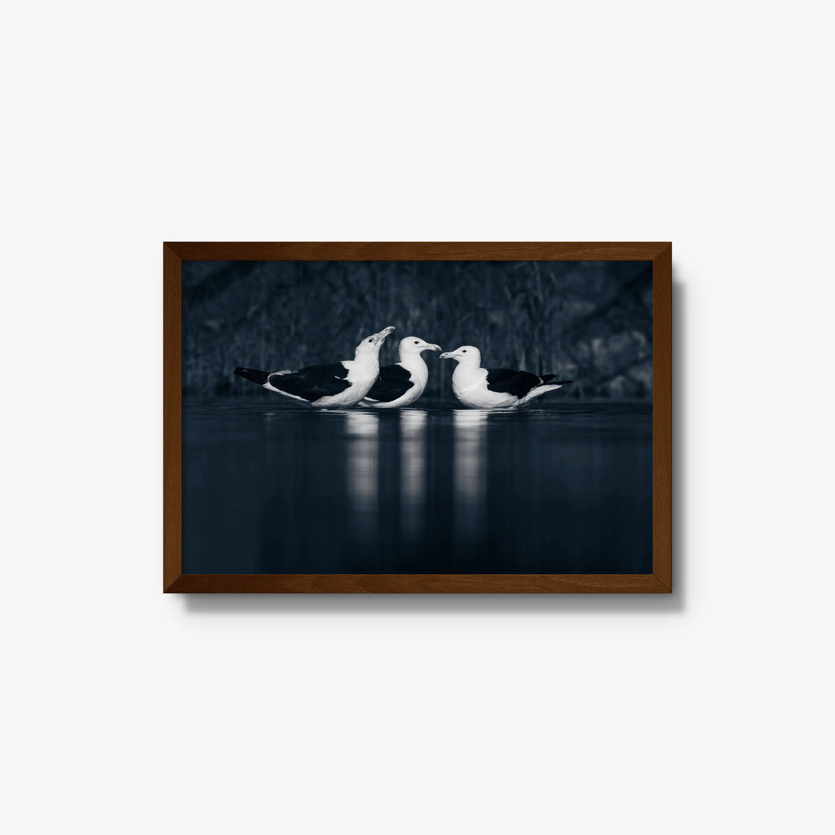 Nightwater trio — medium / brown / full
