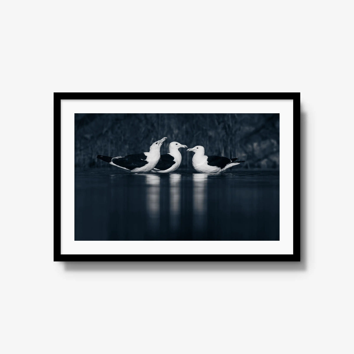 Nightwater trio — large / black / mat