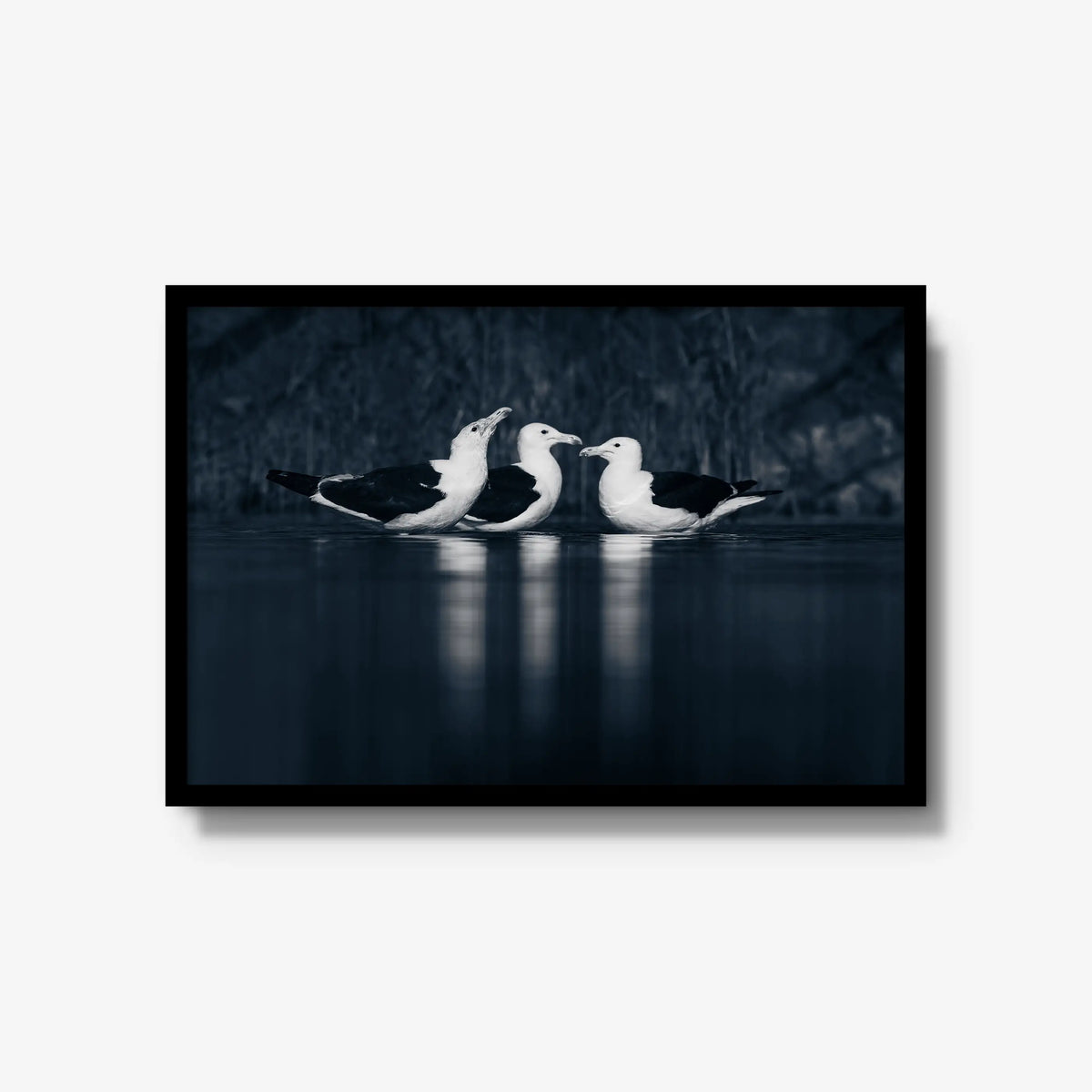 Nightwater trio — large / black / full