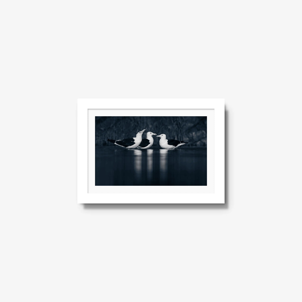 Nightwater trio — mini / white / mat