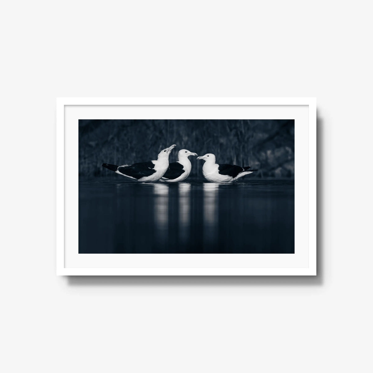 Nightwater trio — large / white / mat