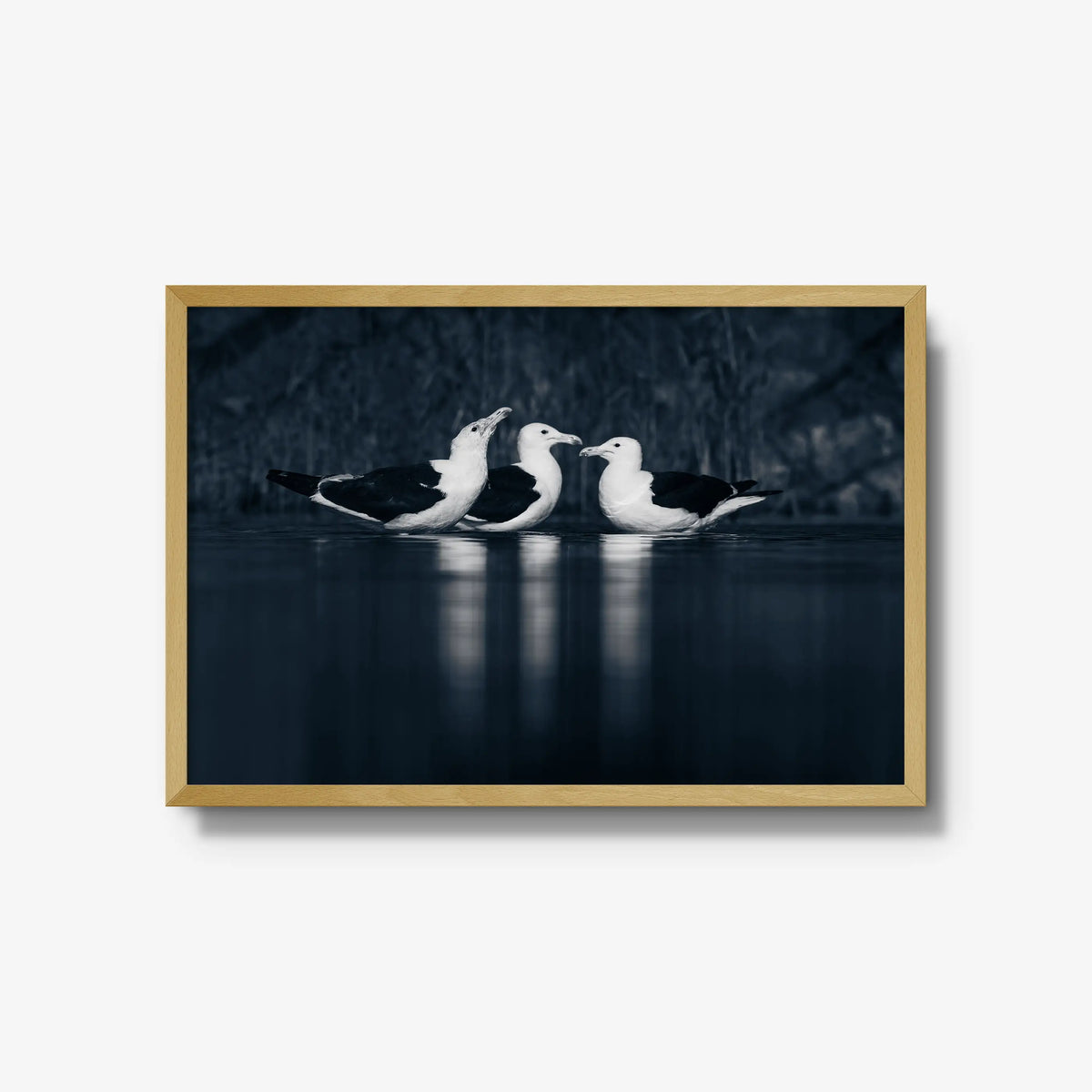 Nightwater trio — large / natural / full