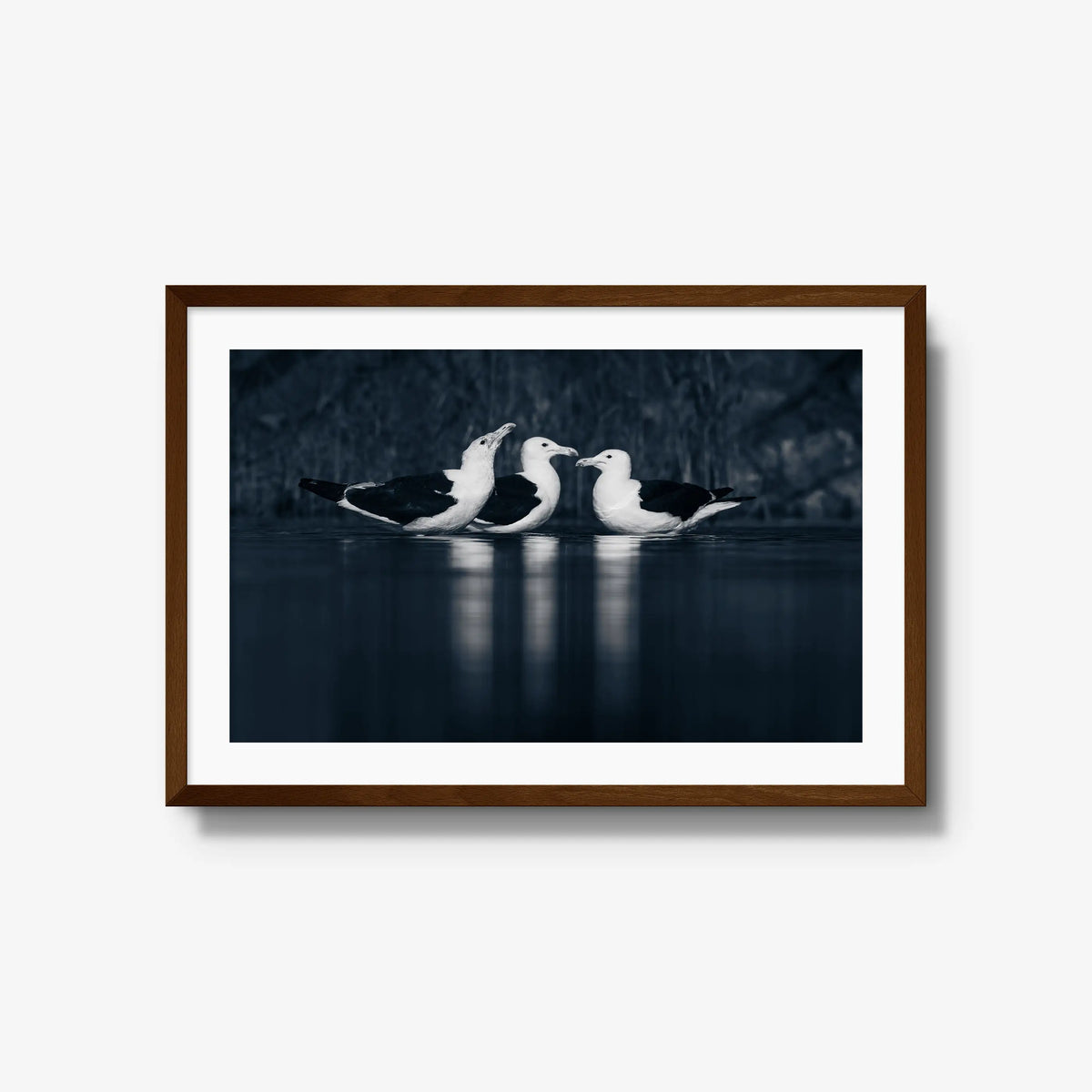 Nightwater trio — large / brown / mat