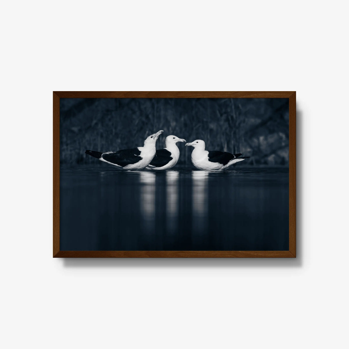 Nightwater trio — large / brown / full