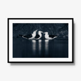 Nightwater trio — gallery / black / mat
