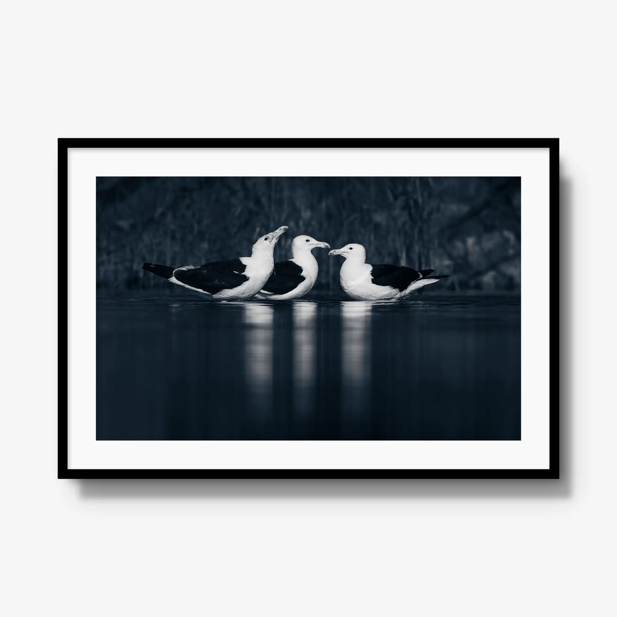 Nightwater trio — gallery / black / mat