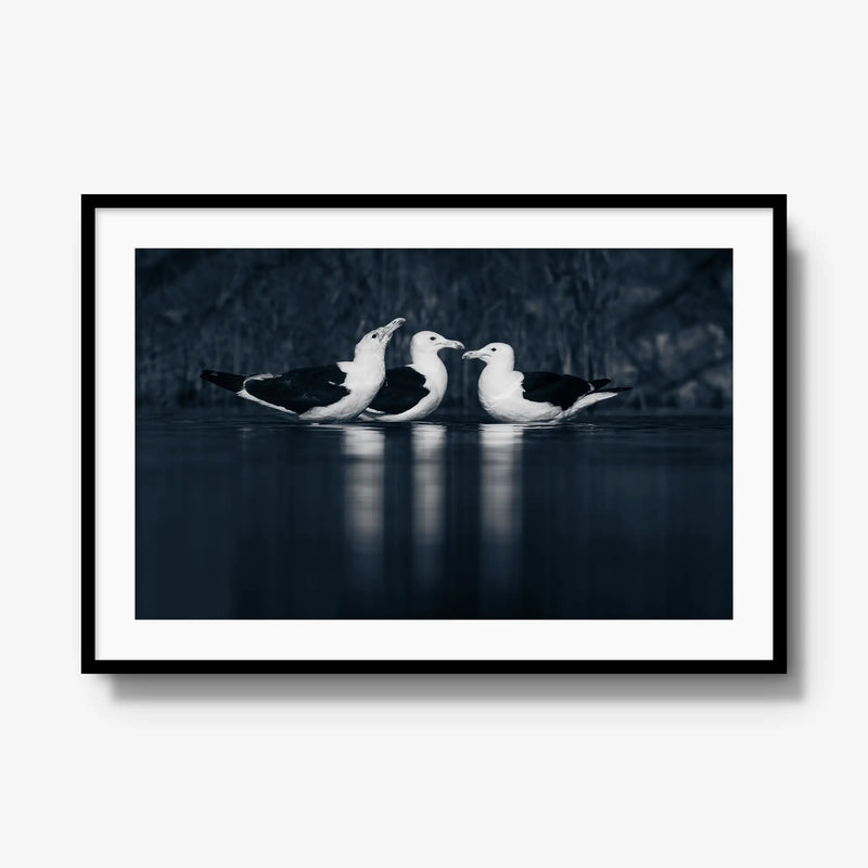 Nightwater trio