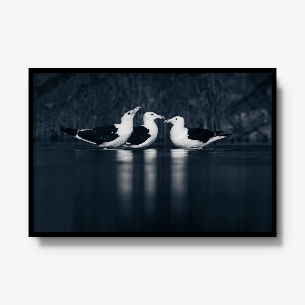 Nightwater trio — gallery / black / full
